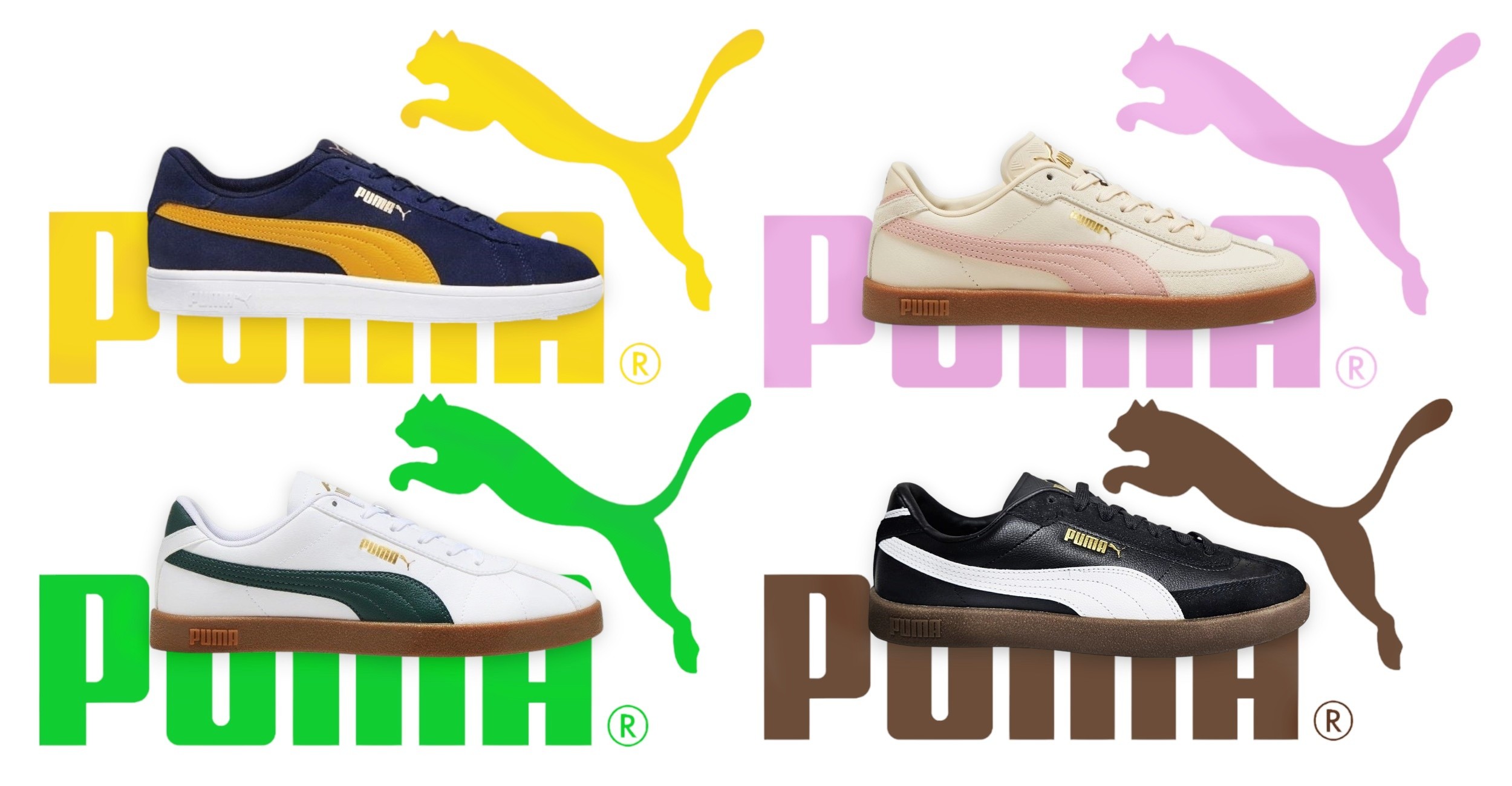 Puma banner